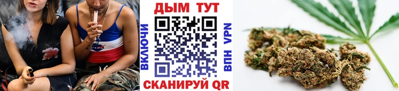 Галлюциногенные грибы Нальчик