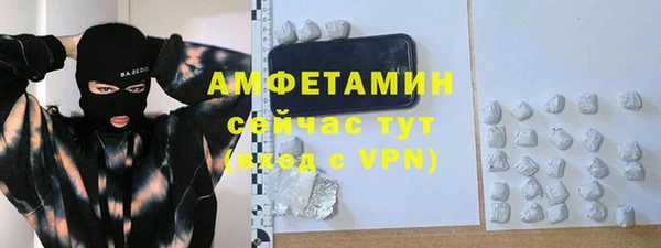 прущие грибы Гусиноозёрск